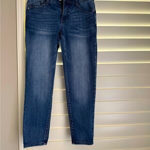 WIT & WISDOM ‘Ab’ solution ankle skinny jean